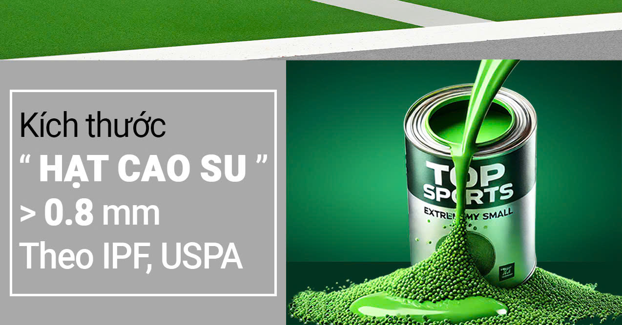 Thi công sân padel pickleball cao cấp nền bê tông